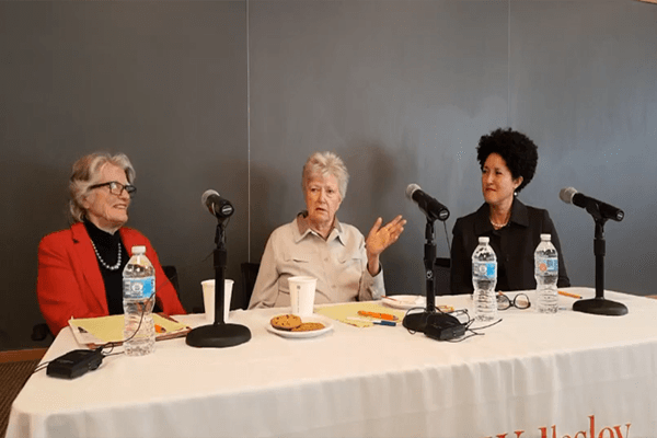 Barbara Newell, Linda Wertheimer, Layli Maparyan